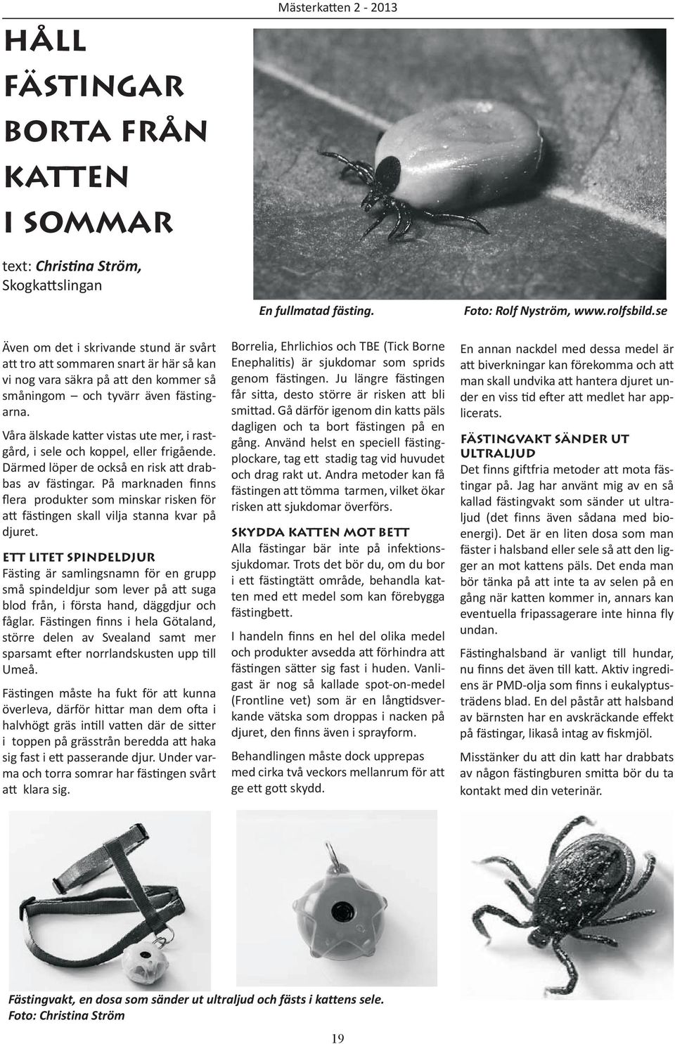 På marknaden finns flera produkter som minskar risken för att fästingen skall vilja stanna kvar på djuret.