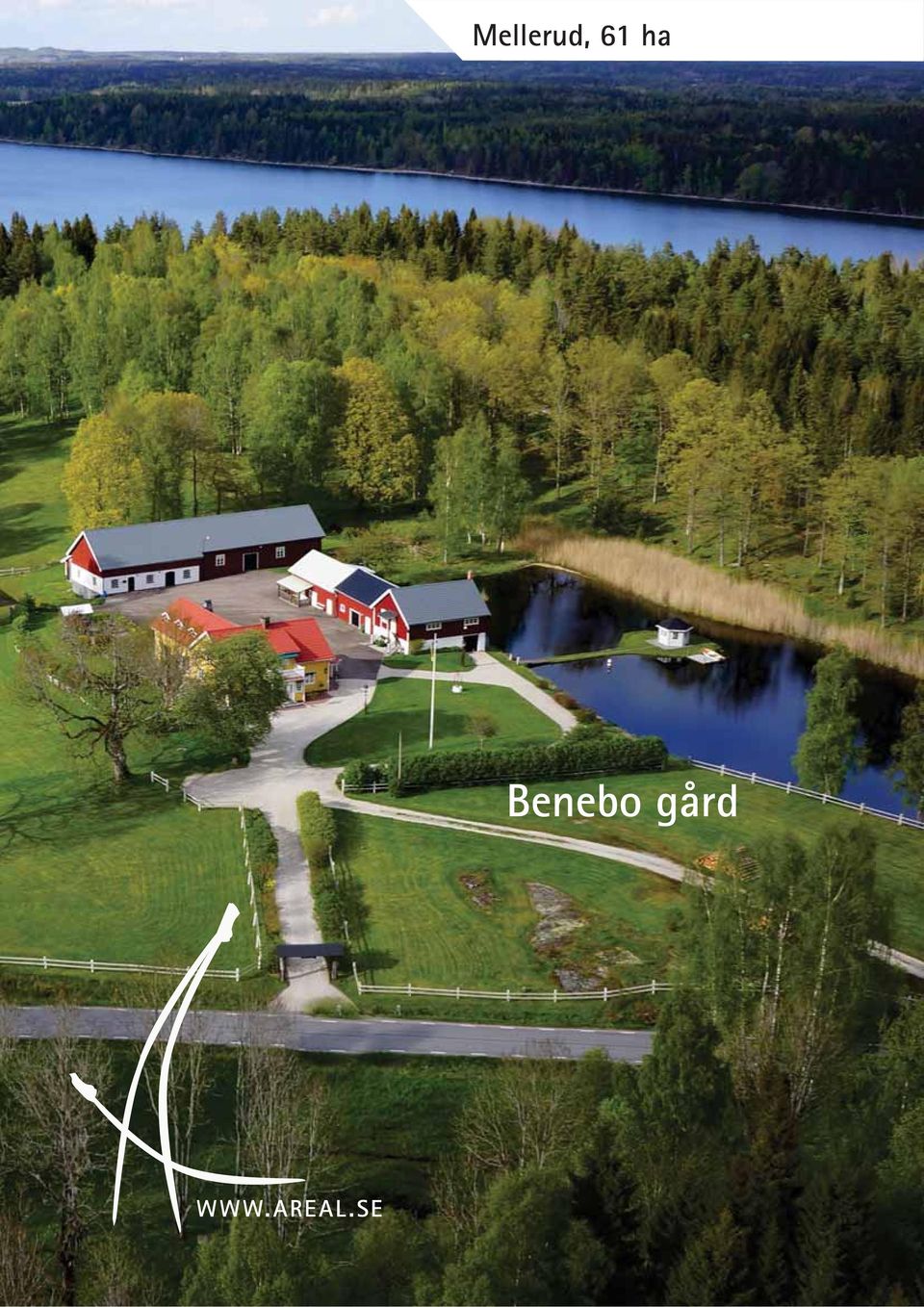 Benebo