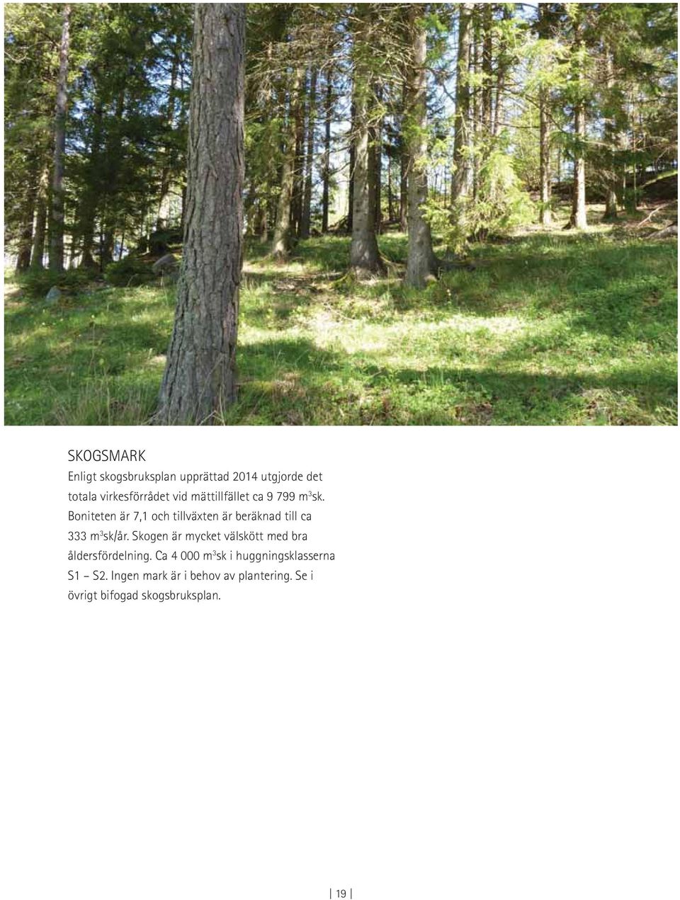 Boniteten är 7,1 och tillväxten är beräknad till ca 333 m 3 sk/år.