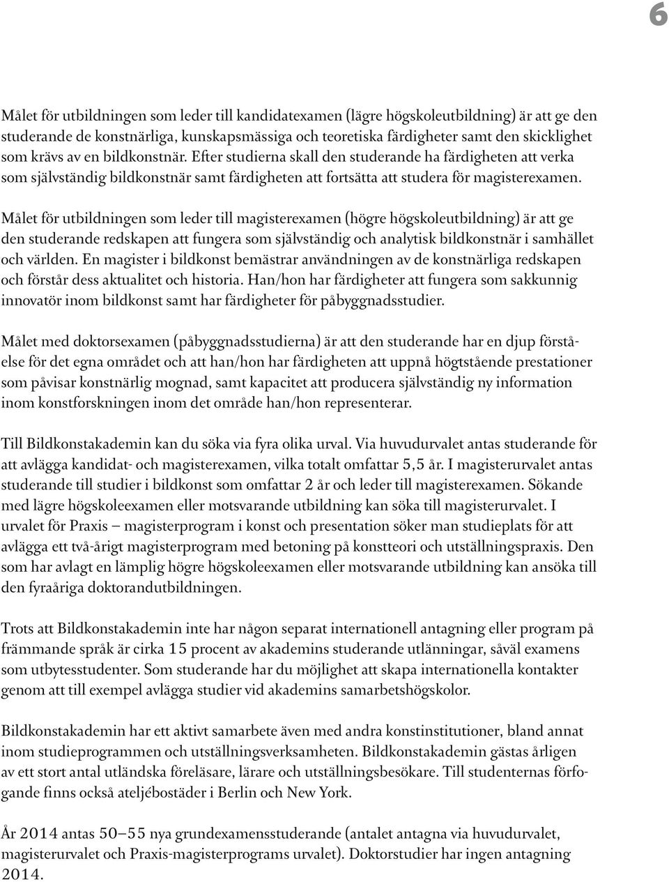 Målet för utbildningen som leder till magisterexamen (högre högskoleutbildning) är att ge den studerande redskapen att fungera som självständig och analytisk bildkonstnär i samhället och världen.