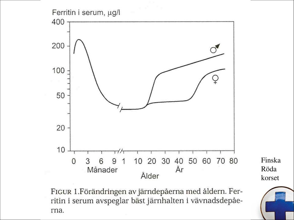 korset