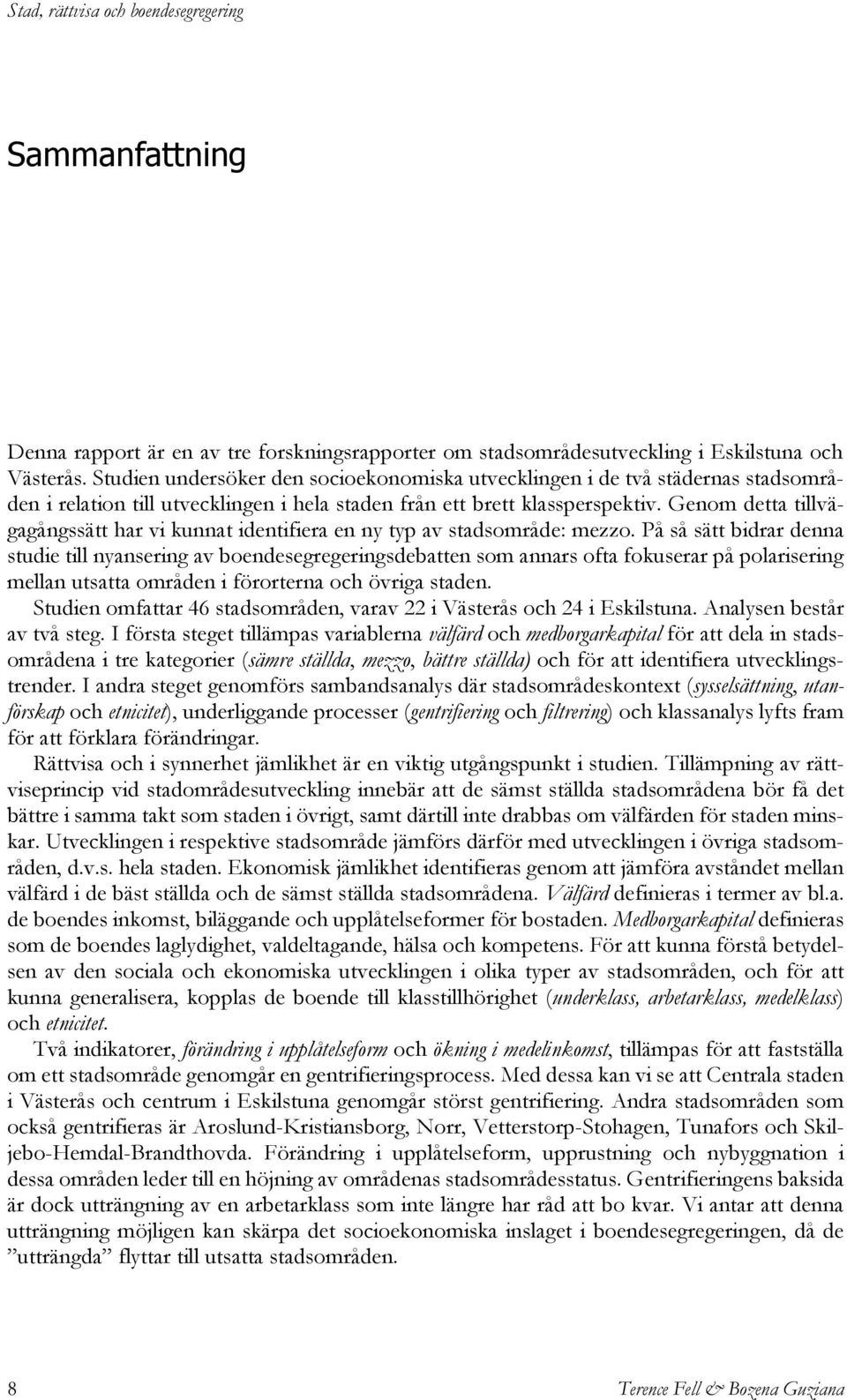 Genom detta tillvägagångssätt har vi kunnat identifiera en ny typ av stadsområde: mezzo.