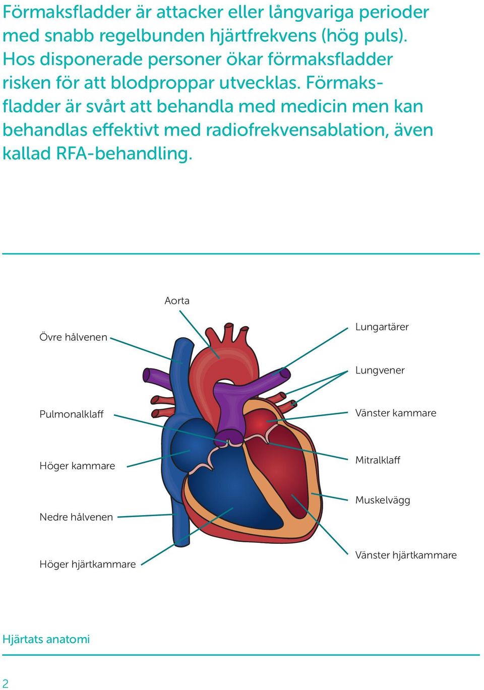 Förmaksfladder är svårt att behandla med medicin men kan behandlas effektivt med radiofrekvens ablation, även kallad