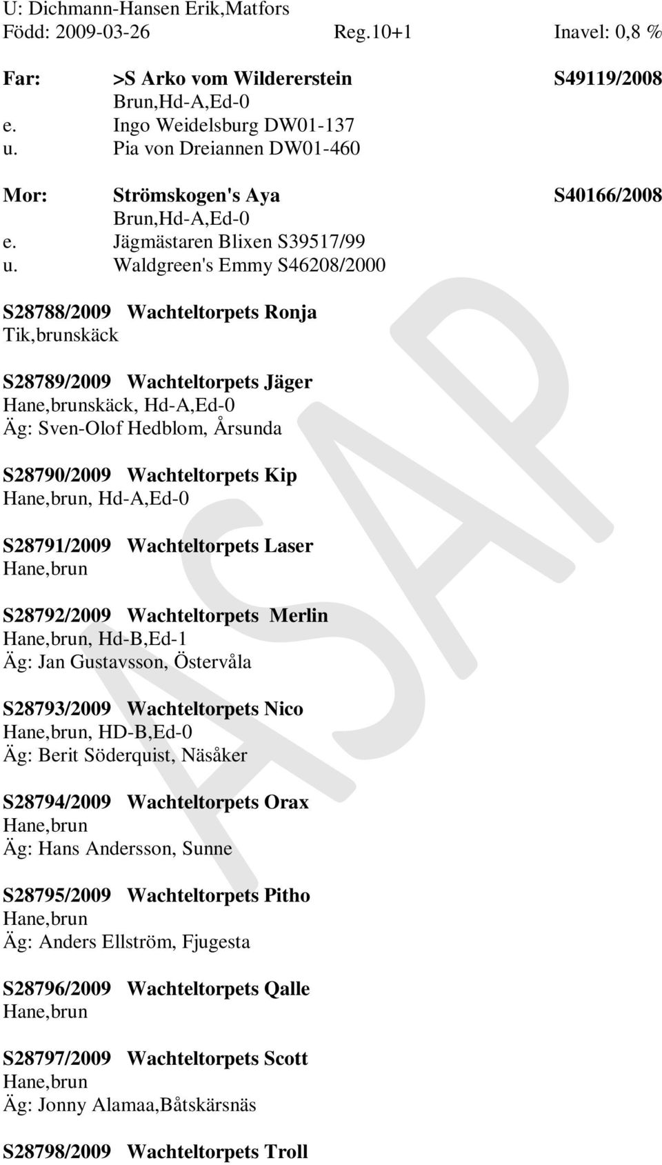 Waldgreen's Emmy S46208/2000 S28788/2009 Wachteltorpets Ronja skäck S28789/2009 Wachteltorpets Jäger skäck, Hd-A,Ed-0 Äg: Sven-Olof Hedblom, Årsunda S28790/2009 Wachteltorpets Kip, Hd-A,Ed-0