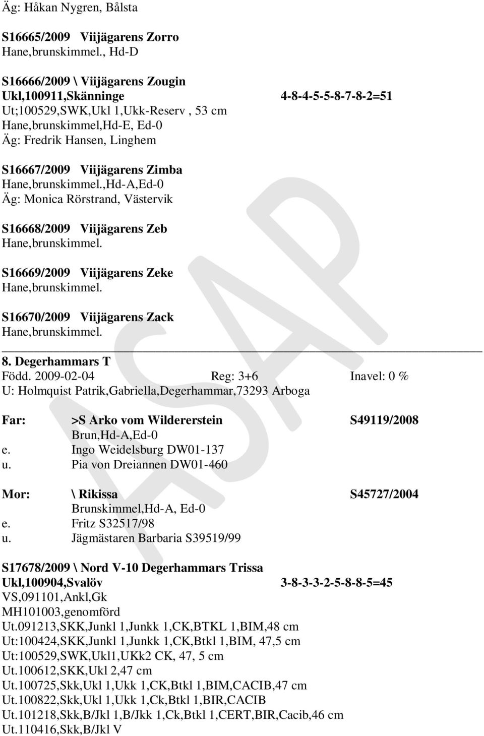 skimmel.,hd-a,ed-0 Äg: Monica Rörstrand, Västervik S16668/2009 Viijägarens Zeb skimmel. S16669/2009 Viijägarens Zeke skimmel. S16670/2009 Viijägarens Zack skimmel. 8. Degerhammars T Född.