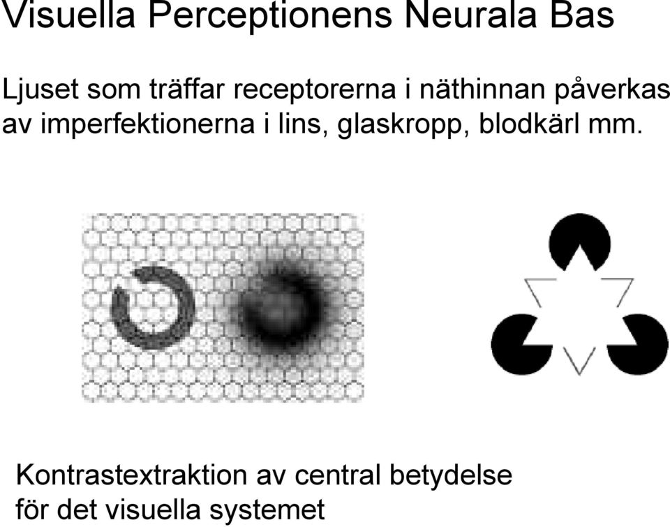 imperfektionerna i lins, glaskropp, blodkärl mm.