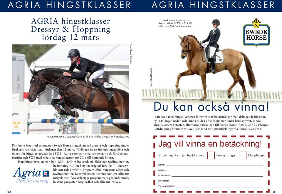 För femte året i rad arrangerar Swede Horse hingstklasser i dressyr hoppning under Bruksprovets sista dag, lördagen den 12 mars. Tävlingen är en inbjudningstävling öppen för hingstar godkända i SWB.