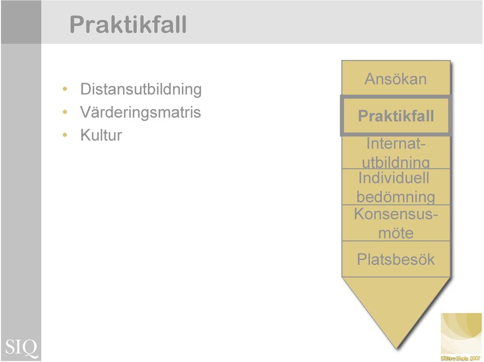 Ledningens Praktikfall