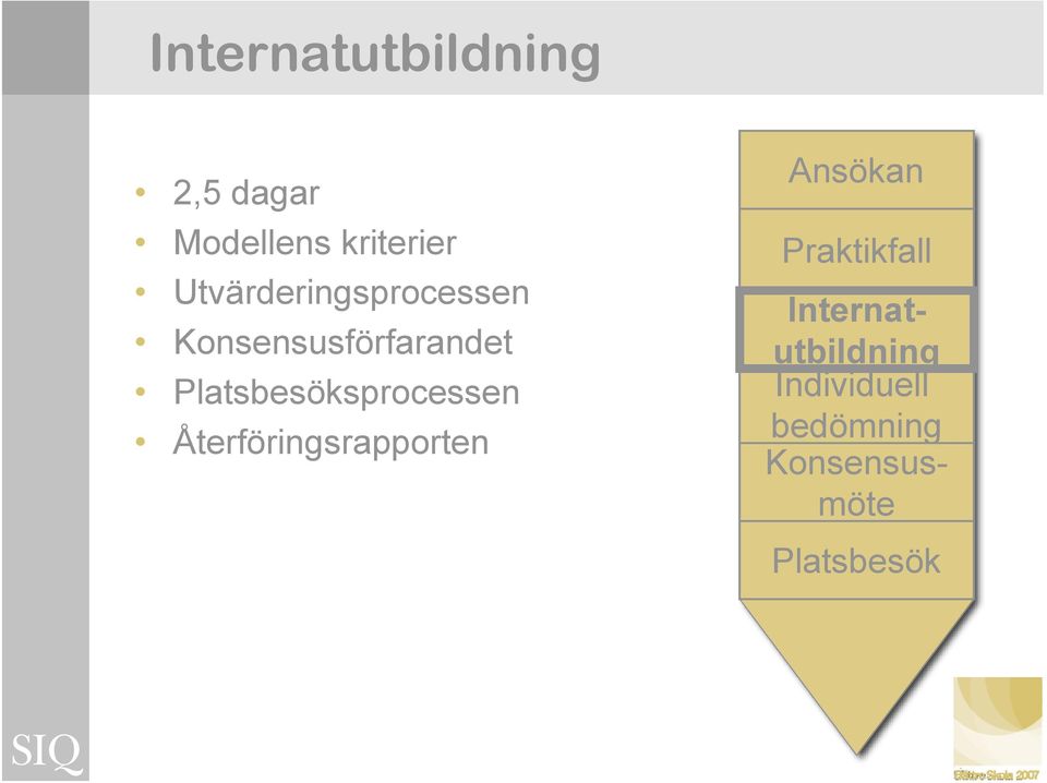 Platsbesöksprocessen Återföringsrapporten Ansökan