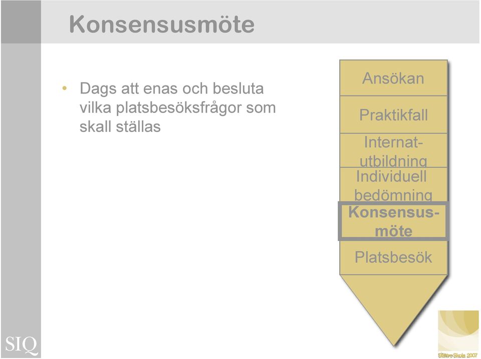 Ansökan Ledningens Praktikfall