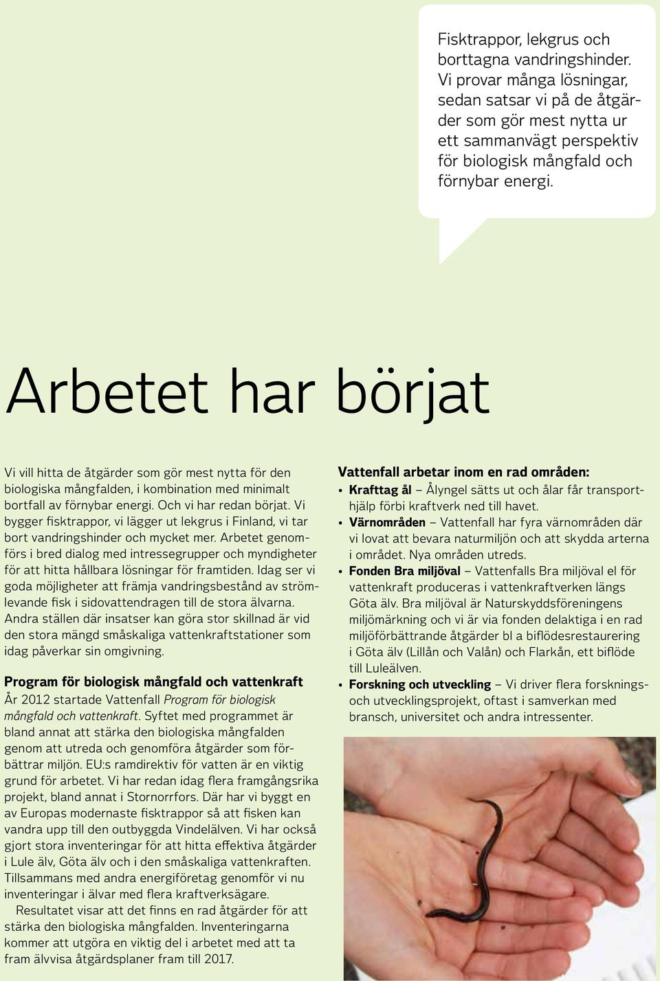 Arbetet har börjat Vi vill hitta de åtgärder som gör mest nytta för den biologiska mångfalden, i kombination med minimalt bortfall av förnybar energi. Och vi har redan börjat.