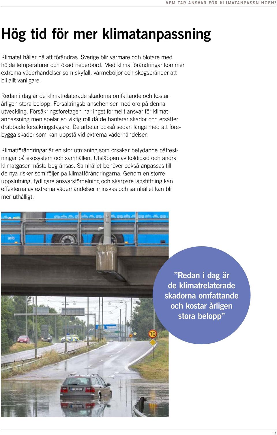 Redan i dag är de klimatrelaterade skadorna omfattande och kostar årligen stora belopp. Försäkringsbranschen ser med oro på denna utveckling.