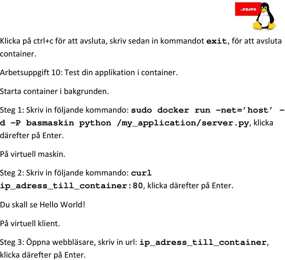 Steg 1: Skriv in följande kommando: sudo docker run net= host d P basmaskin python /my_application/server.