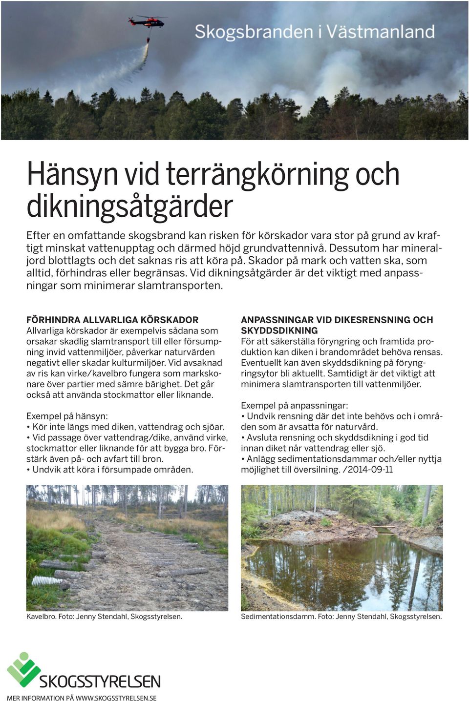 Vid dikningsåtgärder är det viktigt med anpassningar som minimerar slamtransporten.