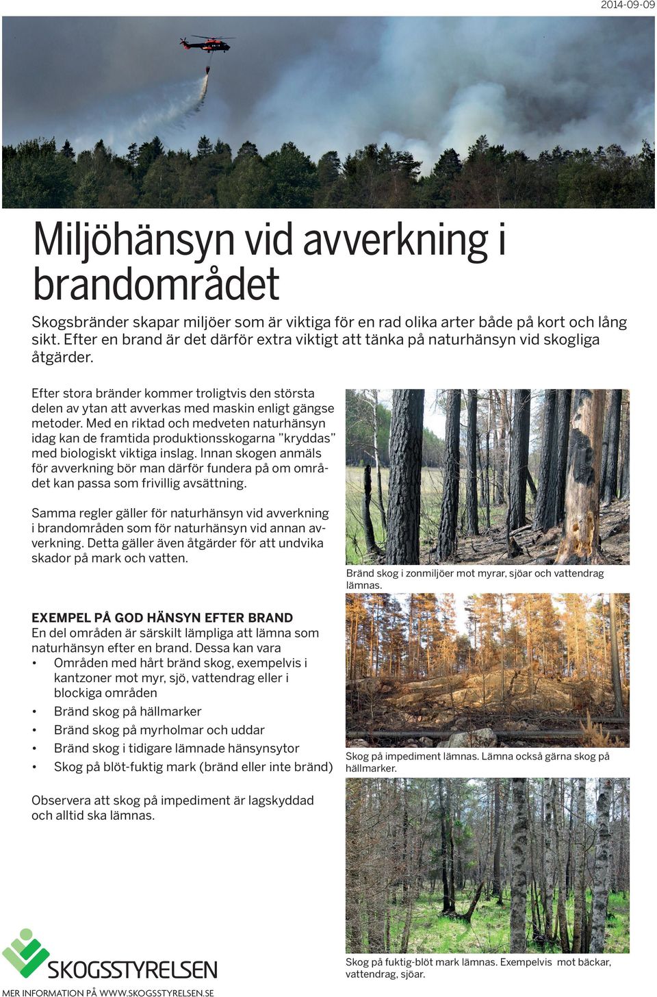 Efter stora bränder kommer troligtvis den största delen av ytan att avverkas med maskin enligt gängse metoder.