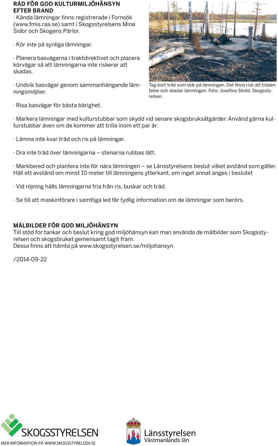Tag bort träd som står på lämningen. Det finns risk att träden faller och skadar lämningen. Foto: Josefina Sköld, Skogsstyrelsen.