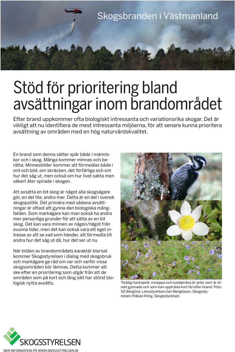 En brand som denna sätter spår både i människor och i skog. Många kommer minnas och berätta.
