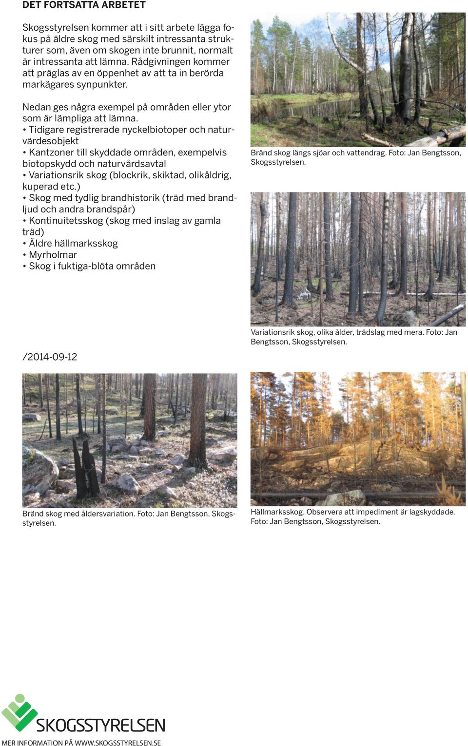 Tidigare registrerade nyckelbiotoper och naturvärdesobjekt Kantzoner till skyddade områden, exempelvis biotopskydd och naturvårdsavtal Variationsrik skog (blockrik, skiktad, olikåldrig, kuperad etc.
