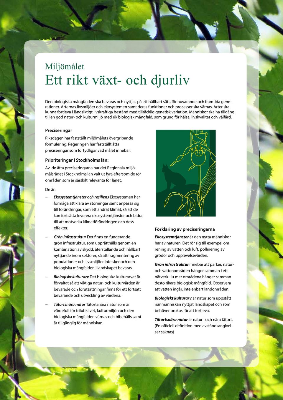 Människor ska ha tillgång till en god natur- och kulturmiljö med rik biologisk mångfald, som grund för hälsa, livskvalitet och välfärd.