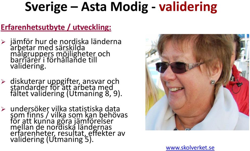 diskuterar uppgifter, ansvar och standarder för att arbeta med fältet validering (Utmaning 8, 9).