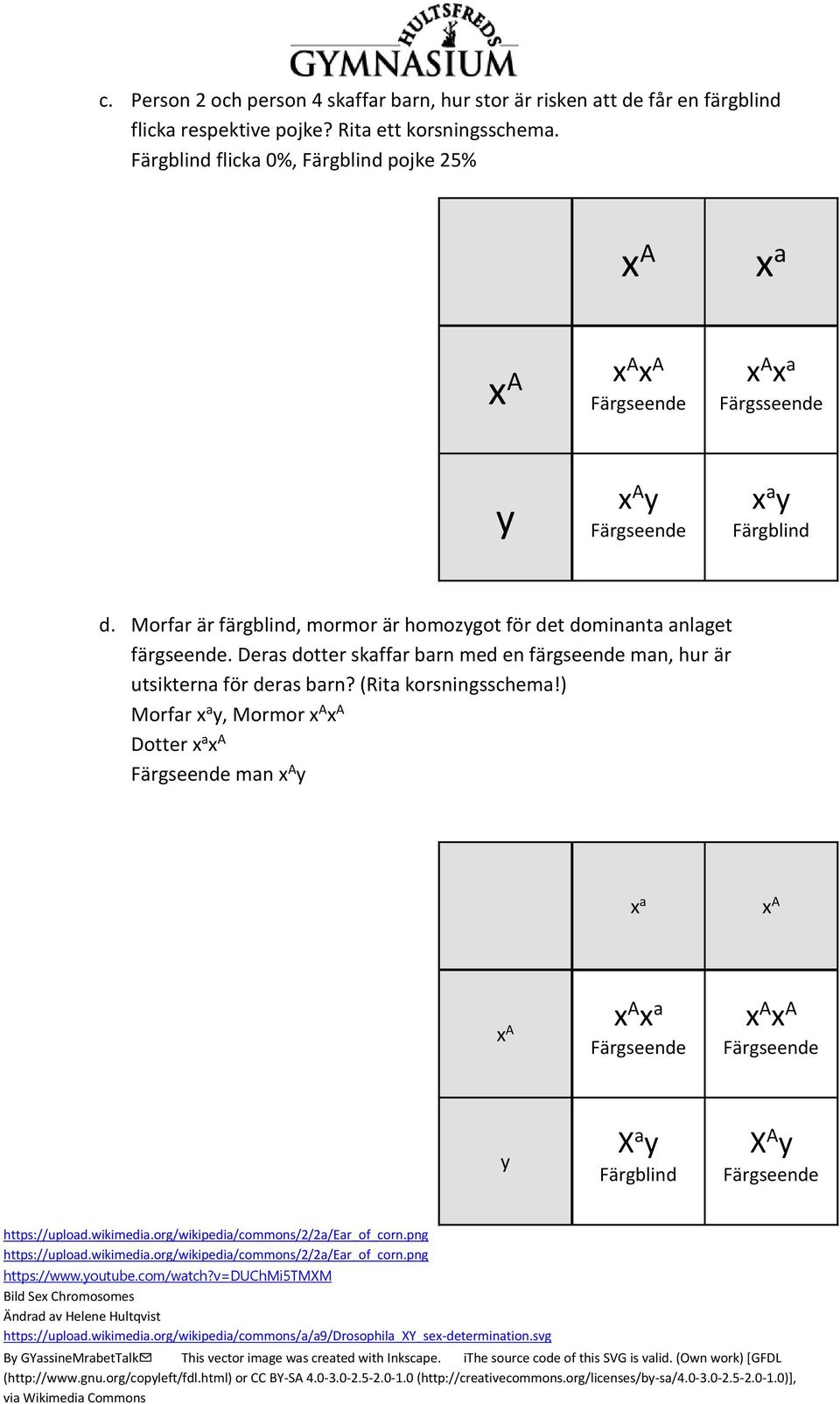 Deras dotter skaffar arn med en färgseende man, hur är utsikterna för deras arn? (Rita korsningsschema!) Morfar x a y, Mormor Dotter x a man y x a x a y X a y Färglind X A y https://upload.wikimedia.