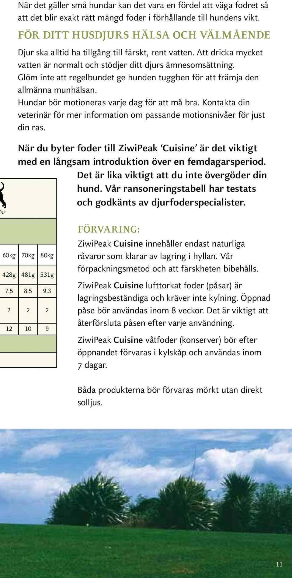 Glöm inte att regelbundet ge hunden tuggben för att främja den allmänna munhälsan. Hundar bör motioneras varje dag för att må bra.