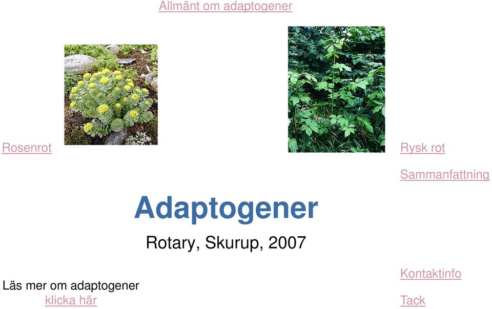 Rotary, Skurup, 2007 Läs mer
