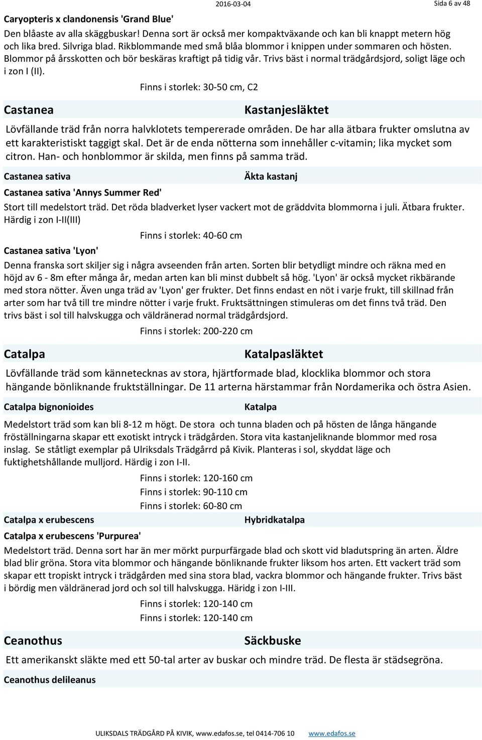 Castanea Finns i storlek: 30-50 cm, C2 Kastanjesläktet Lövfällande träd från norra halvklotets tempererade områden. De har alla ätbara frukter omslutna av ett karakteristiskt taggigt skal.