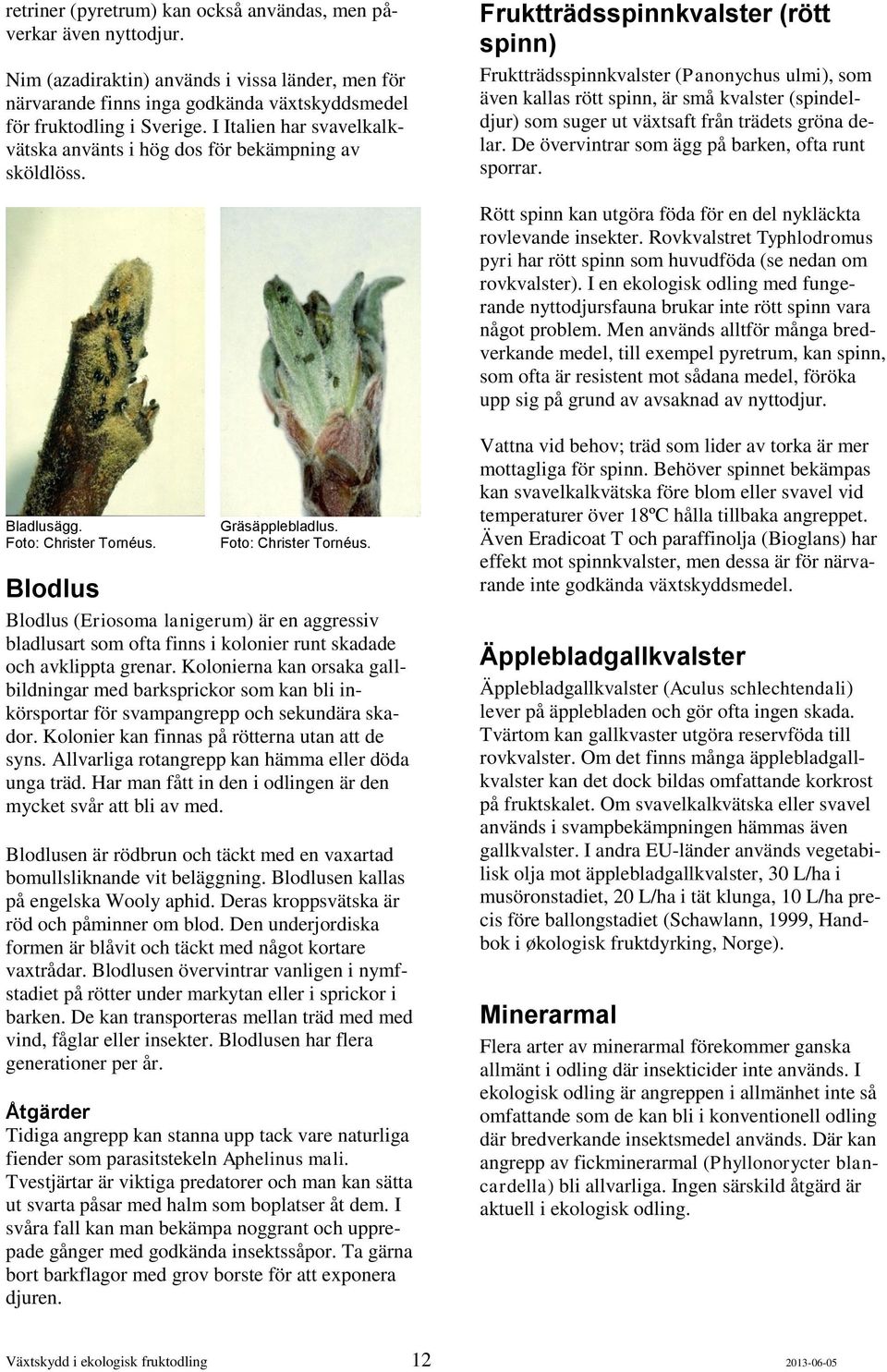 Fruktträdsspinnkvalster (rött spinn) Fruktträdsspinnkvalster (Panonychus ulmi), som även kallas rött spinn, är små kvalster (spindeldjur) som suger ut växtsaft från trädets gröna delar.
