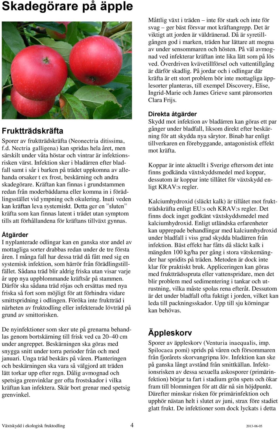 Kräftan kan finnas i grundstammen redan från moderbäddarna eller komma in i förädlingsstället vid ympning och okulering. Inuti veden kan kräftan leva systemiskt.