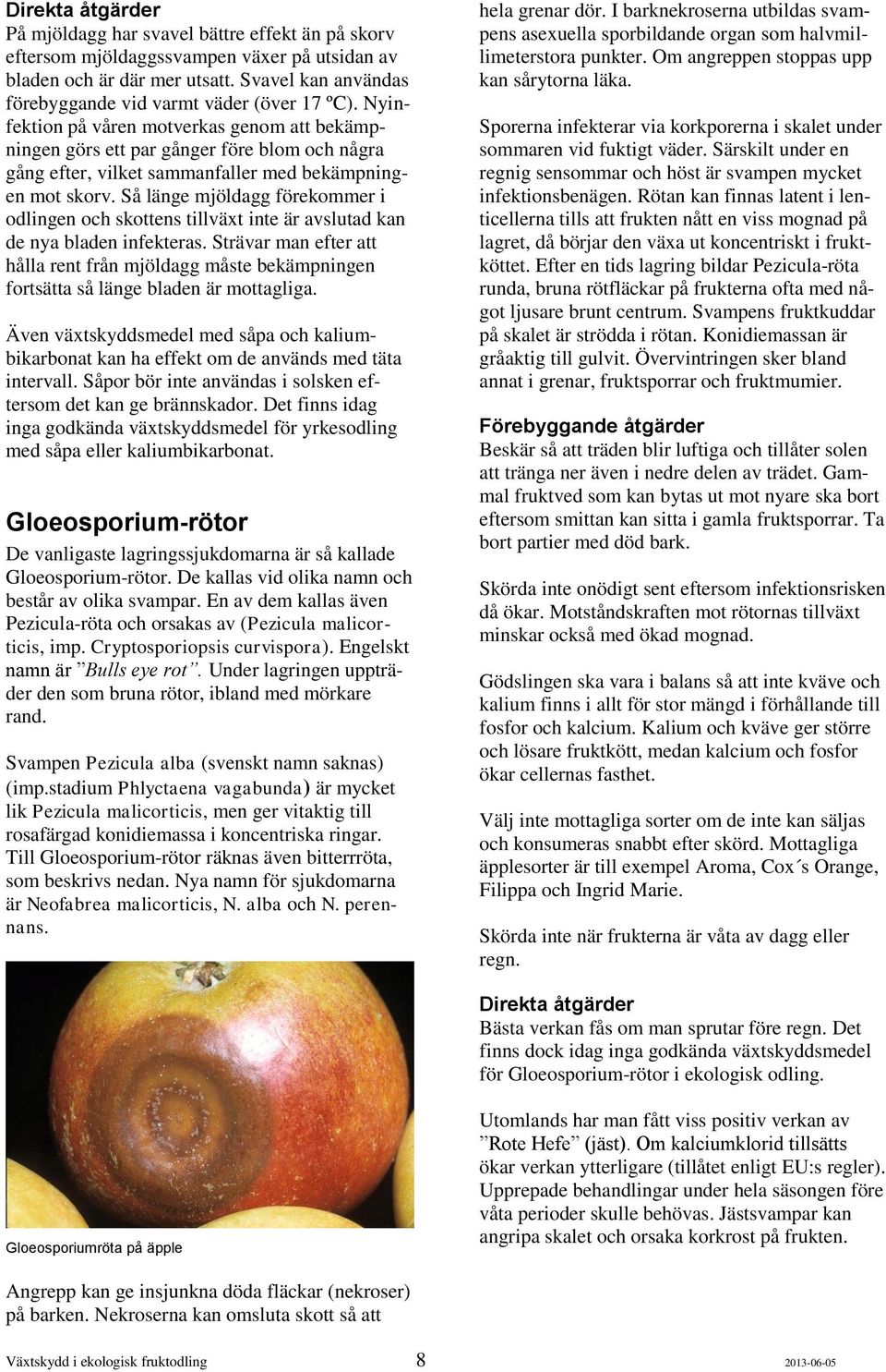 Nyinfektion på våren motverkas genom att bekämpningen görs ett par gånger före blom och några gång efter, vilket sammanfaller med bekämpningen mot skorv.
