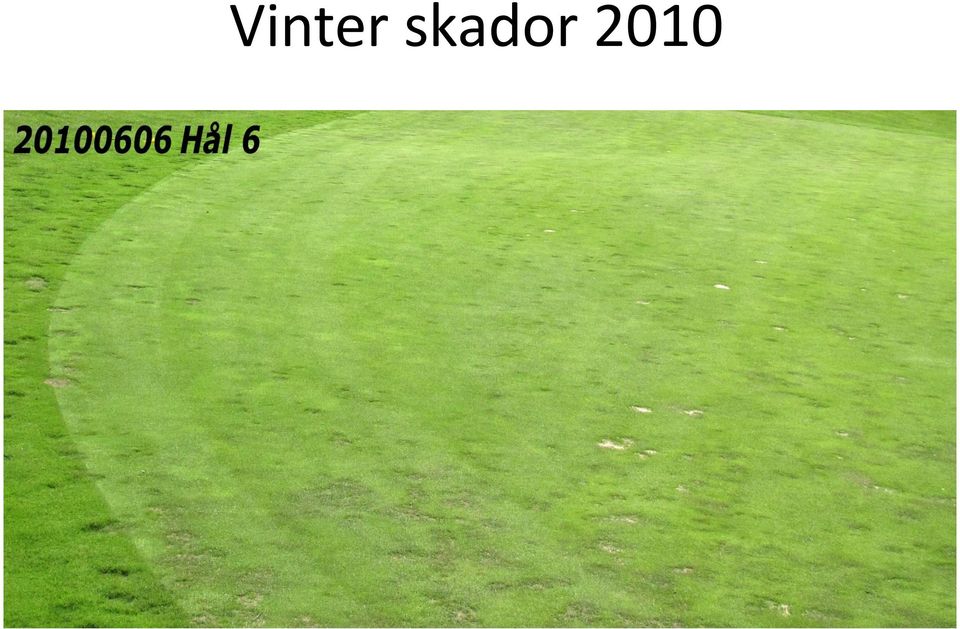 2010