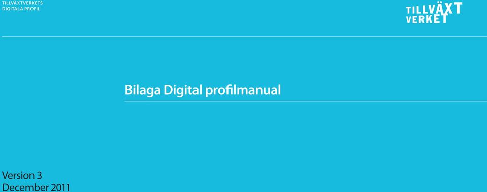 profilmanual
