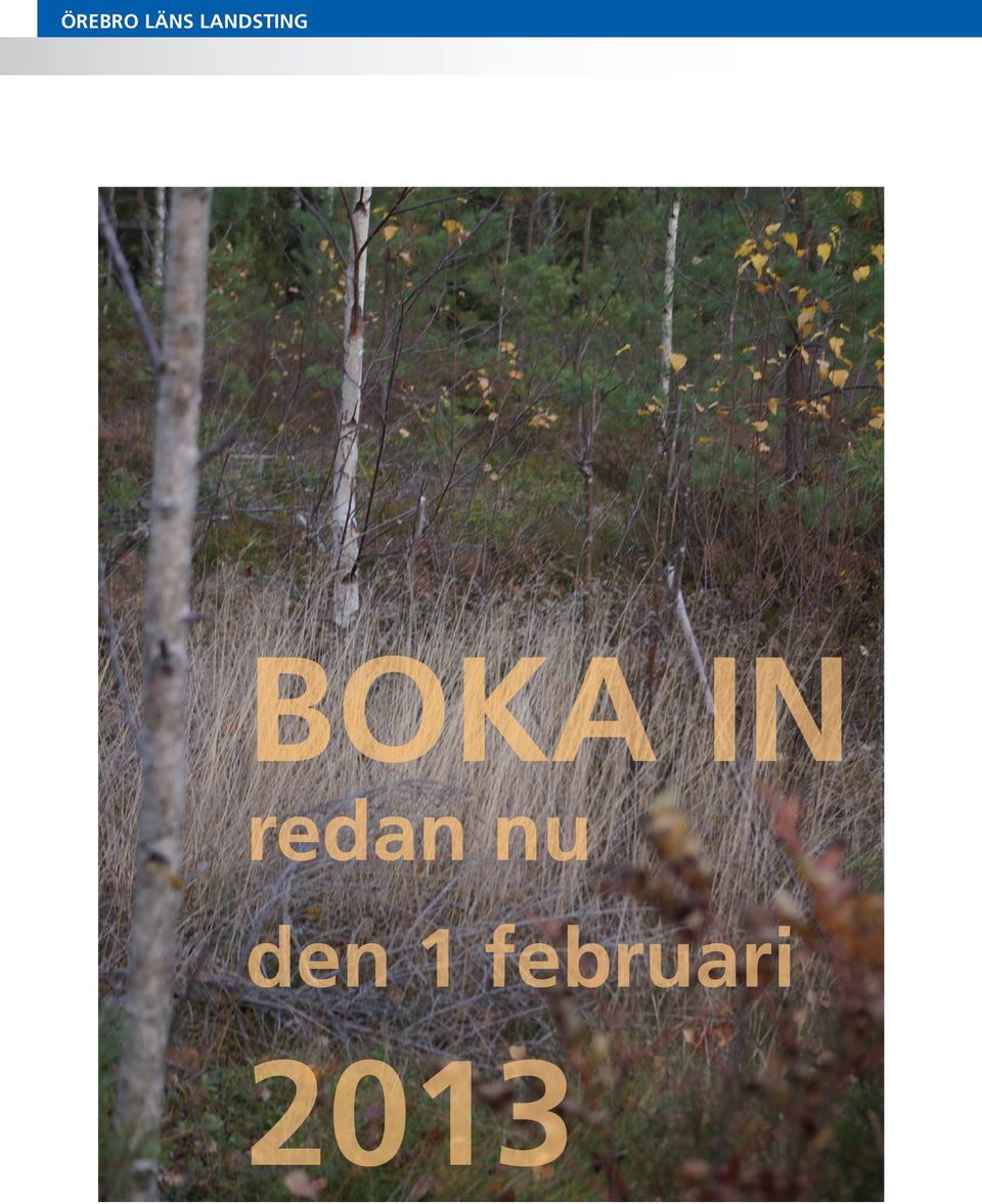 IN redan nu