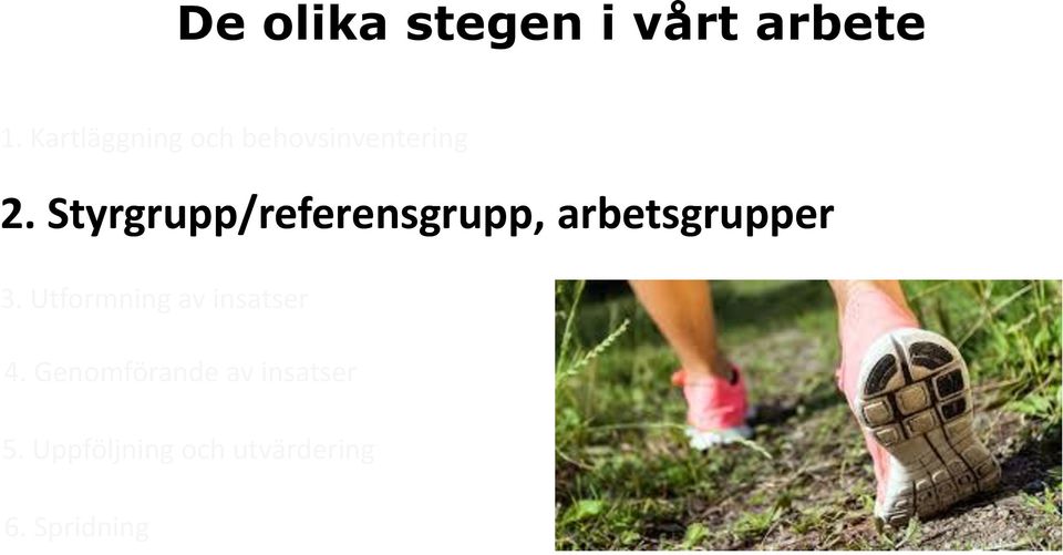 Styrgrupp/referensgrupp, arbetsgrupper 3.