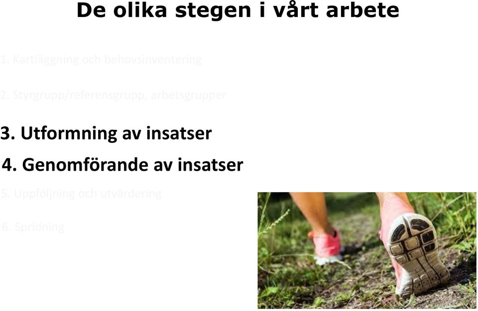Styrgrupp/referensgrupp, arbetsgrupper 3.