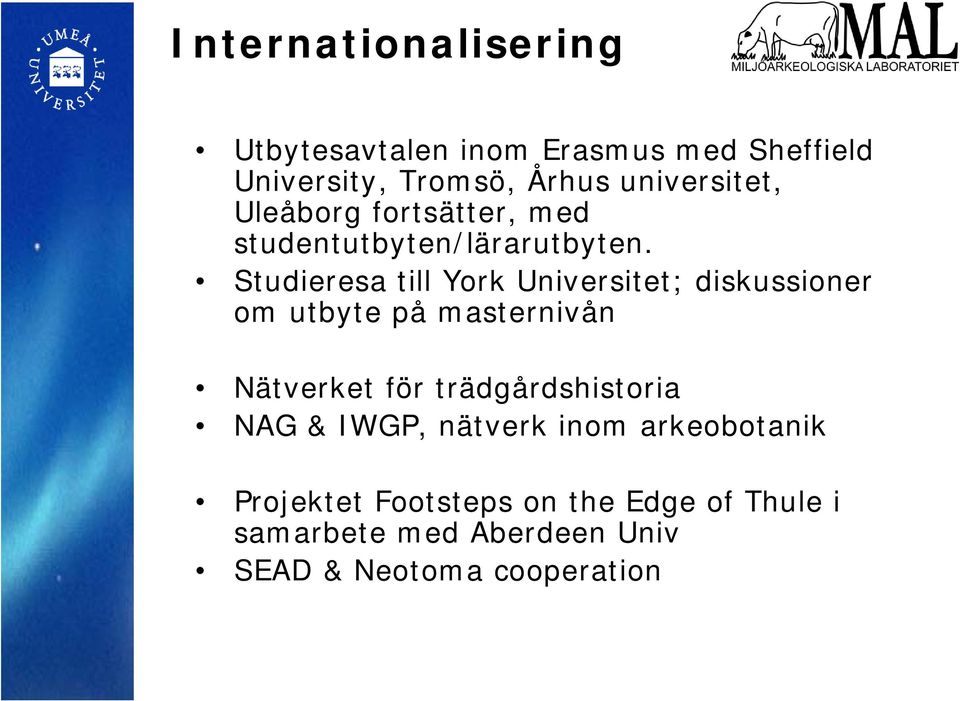 Studieresa till York Universitet; diskussioner om utbyte på masternivån Nätverket för
