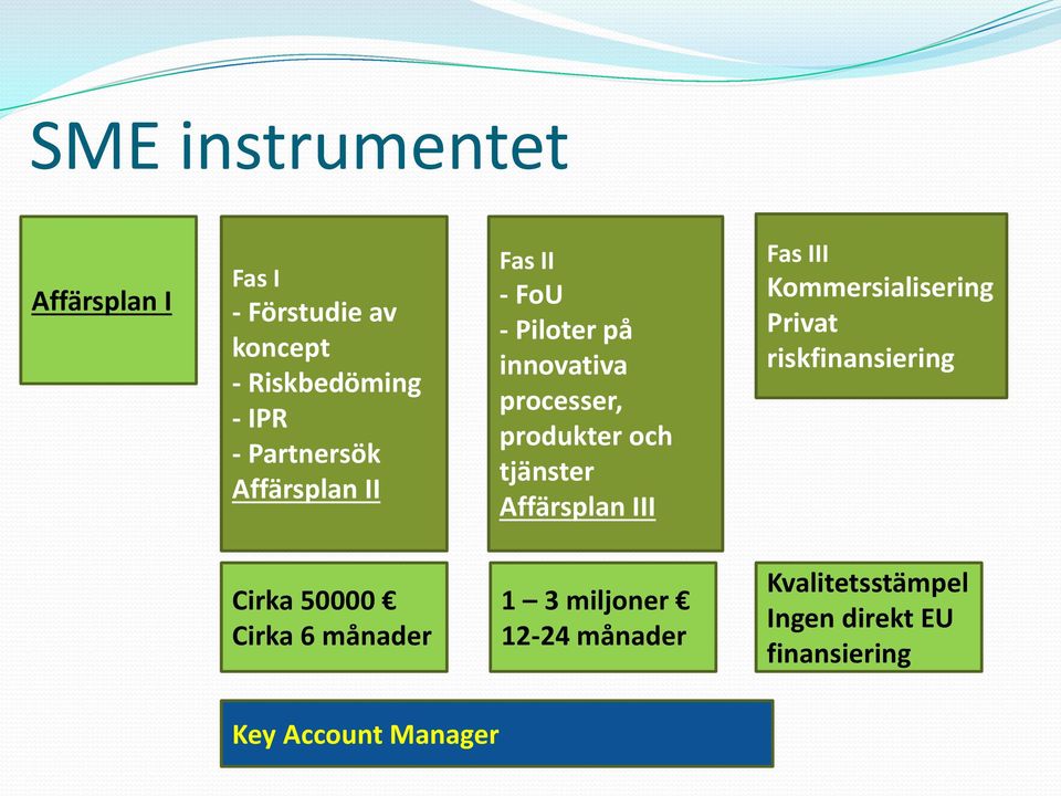 tjänster Affärsplan III Fas III Kommersialisering Privat riskfinansiering Cirka 50000