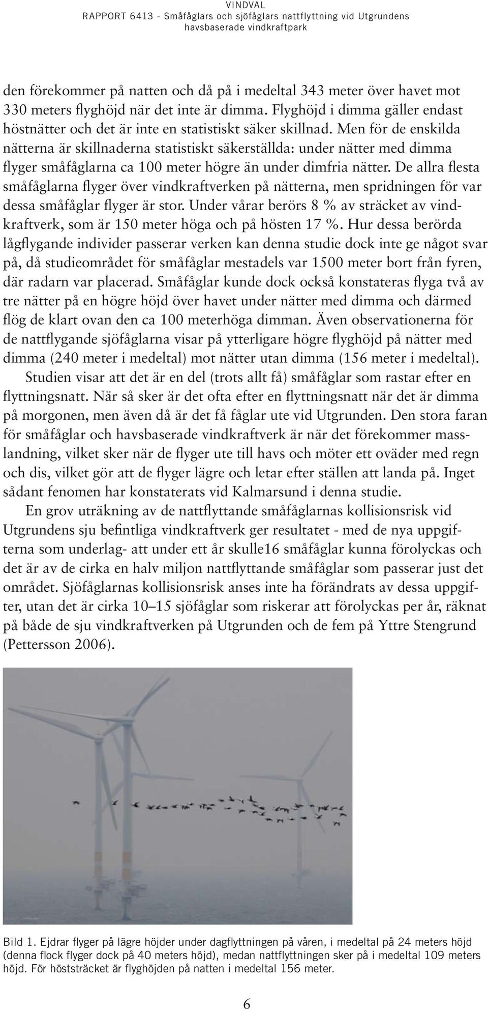 Men för de enskilda nätterna är skillnaderna statistiskt säkerställda: under nätter med dimma flyger småfåglarna ca 100 meter högre än under dimfria nätter.