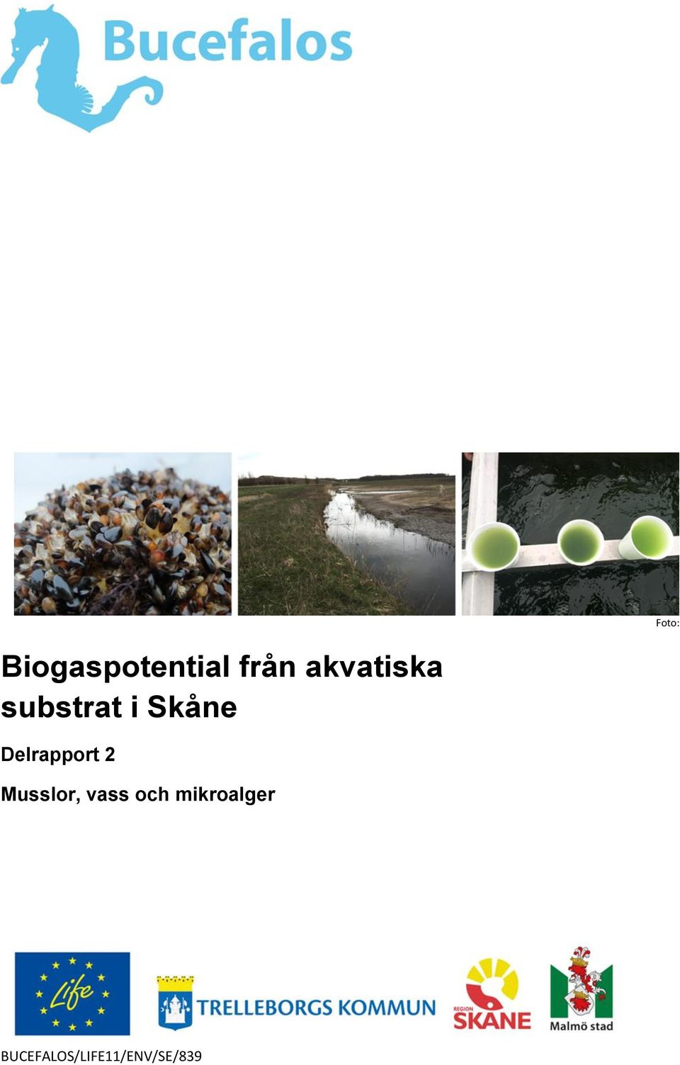 Delrapport 2 Musslor, vass och