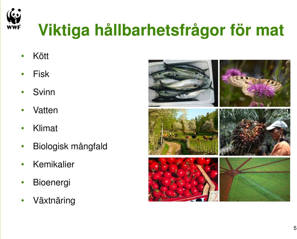 Vatten Klimat Biologisk