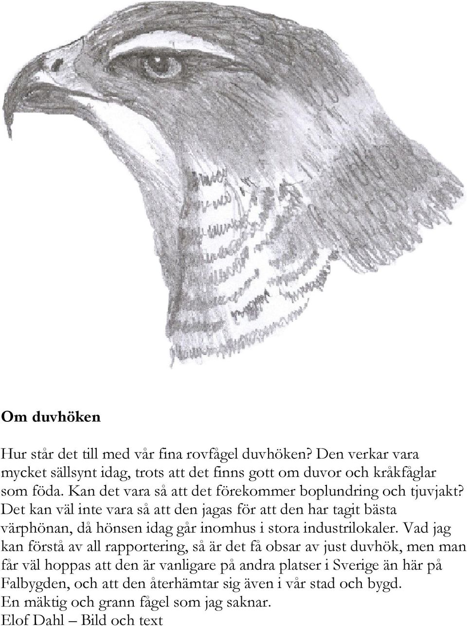 Det kan väl inte vara så att den jagas för att den har tagit bästa värphönan, då hönsen idag går inomhus i stora industrilokaler.