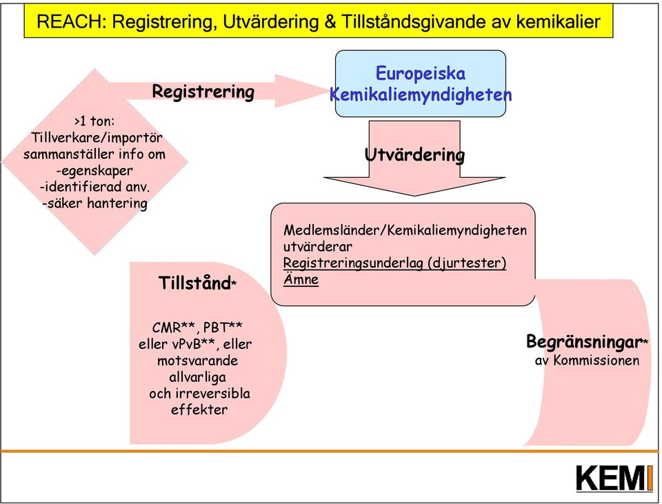 -säker hantering Registrering Tillstånd* Europeiska Kemikaliemyndigheten Utvärdering