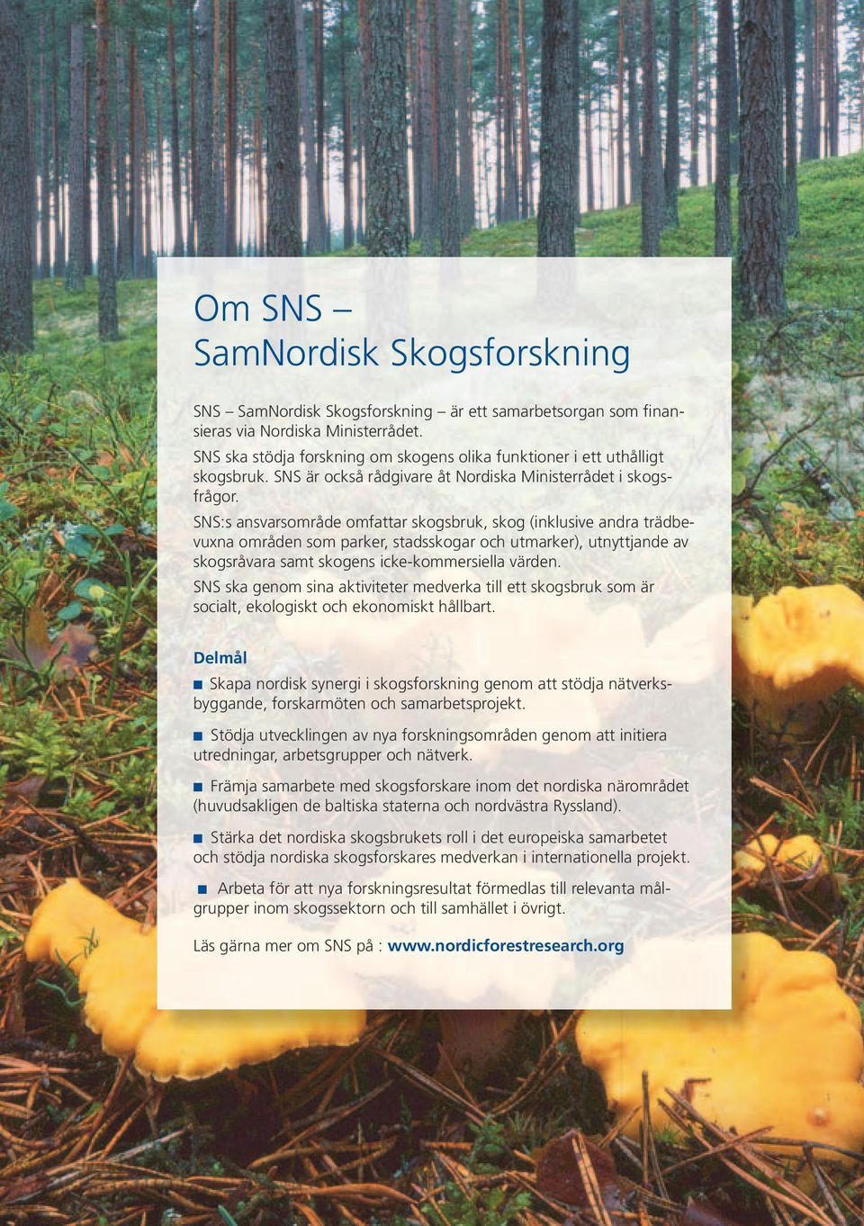 SNS:s ansvarsområde omfattar skogsbruk, skog (inklusive andra trädbevuxna områden som parker, stadsskogar och utmarker), utnyttjande av skogsråvara samt skogens icke-kommersiella värden.