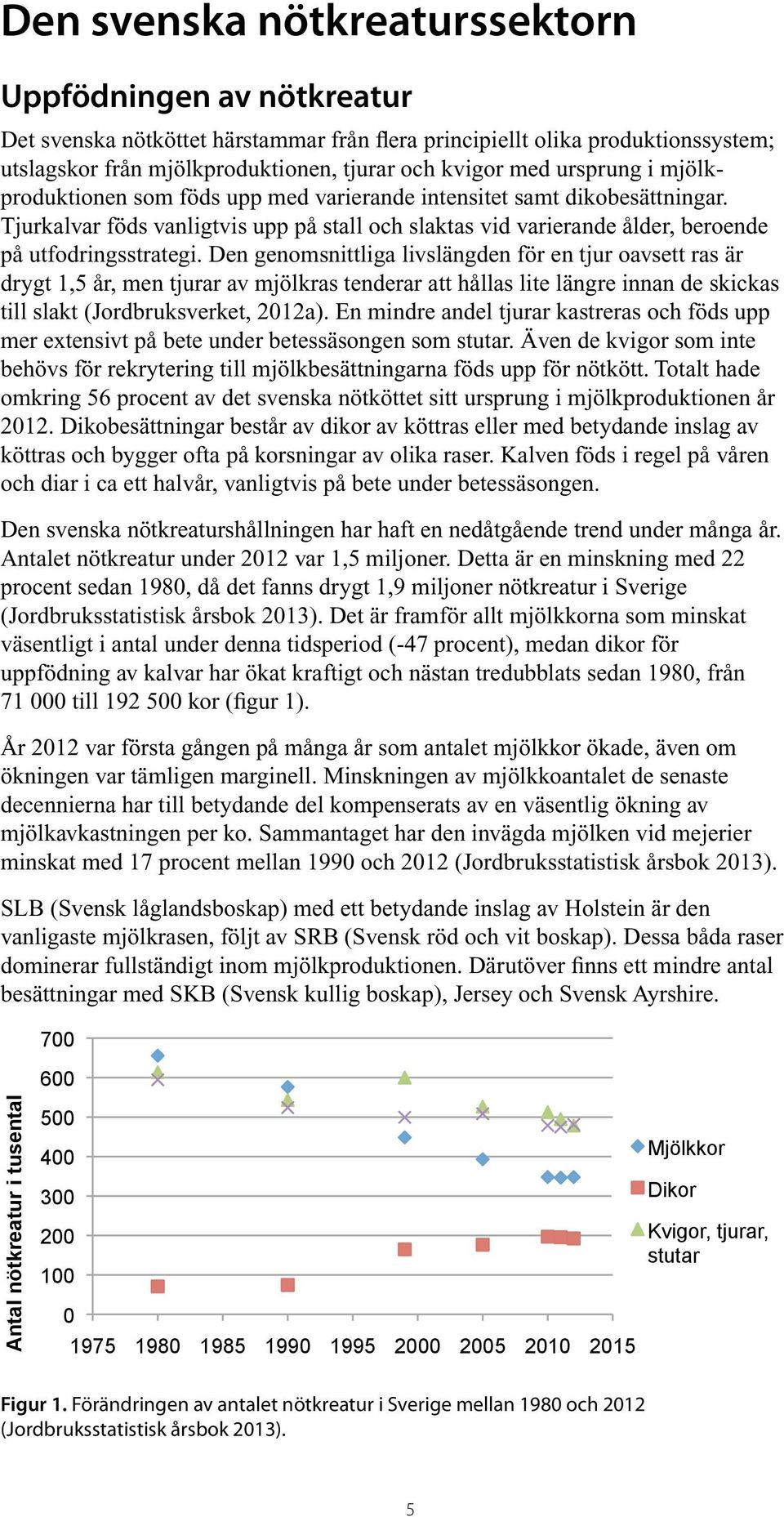 Den genomsnittliga livslängden för en tjur oavsett ras är drygt 1,5 år, men tjurar av mjölkras tenderar att hållas lite längre innan de skickas till slakt (Jordbruksverket, 2012a).