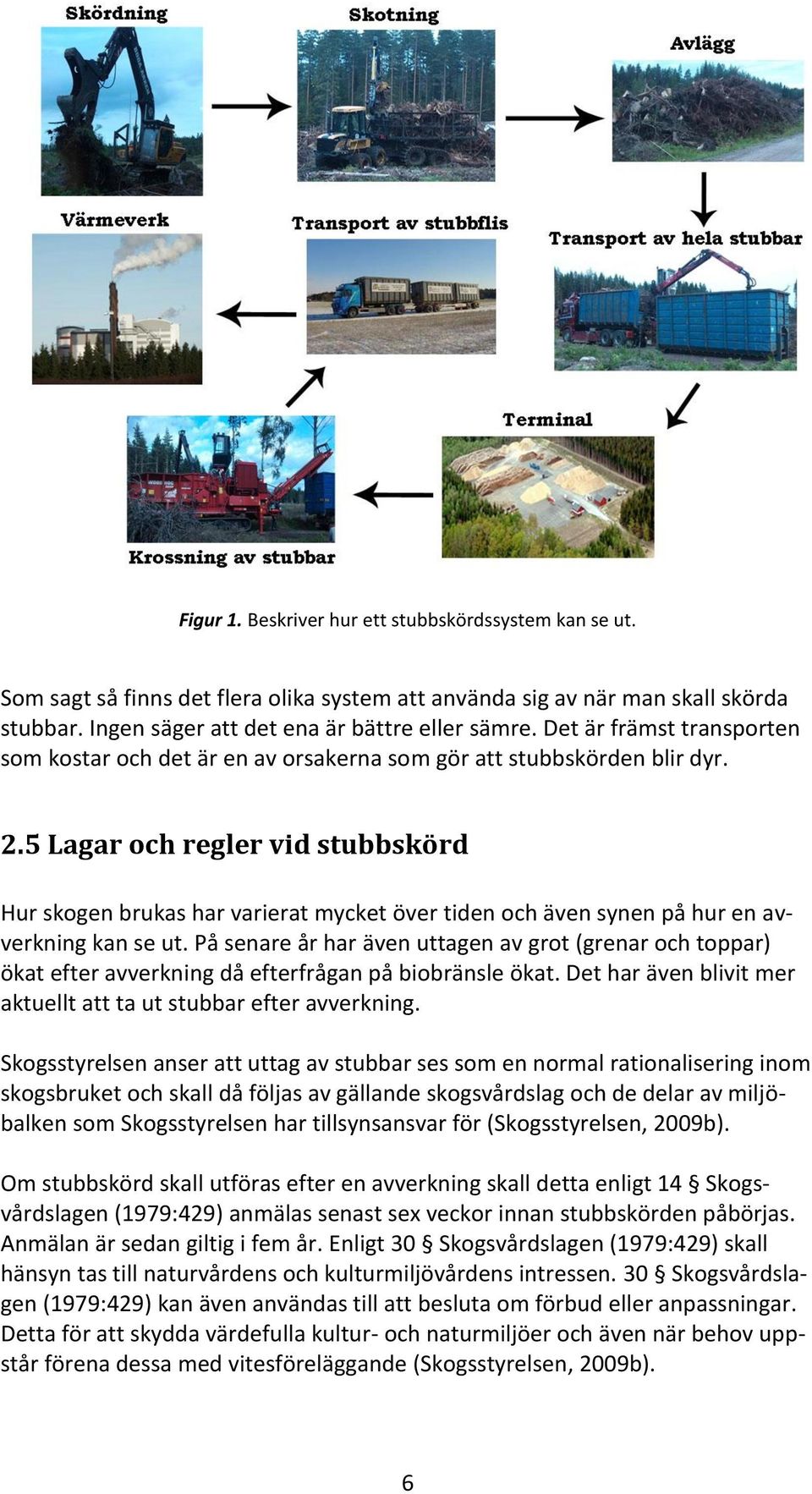 5 Lagar och regler vid stubbskörd Hur skogen brukas har varierat mycket över tiden och även synen på hur en avverkning kan se ut.