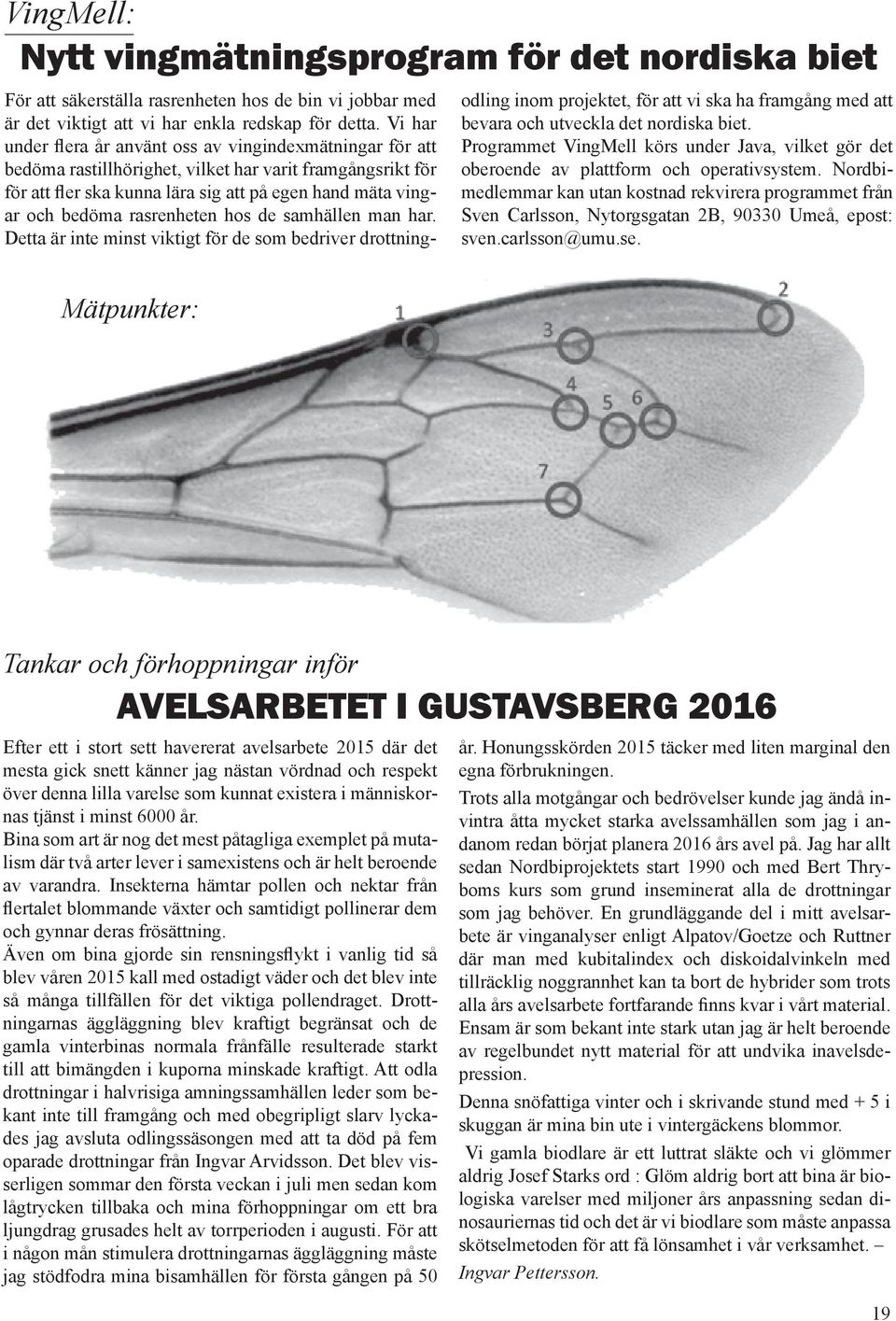 rasrenheten hos de samhällen man har. Detta är inte minst viktigt för de som bedriver drottning- odling inom projektet, för att vi ska ha framgång med att bevara och utveckla det nordiska biet.