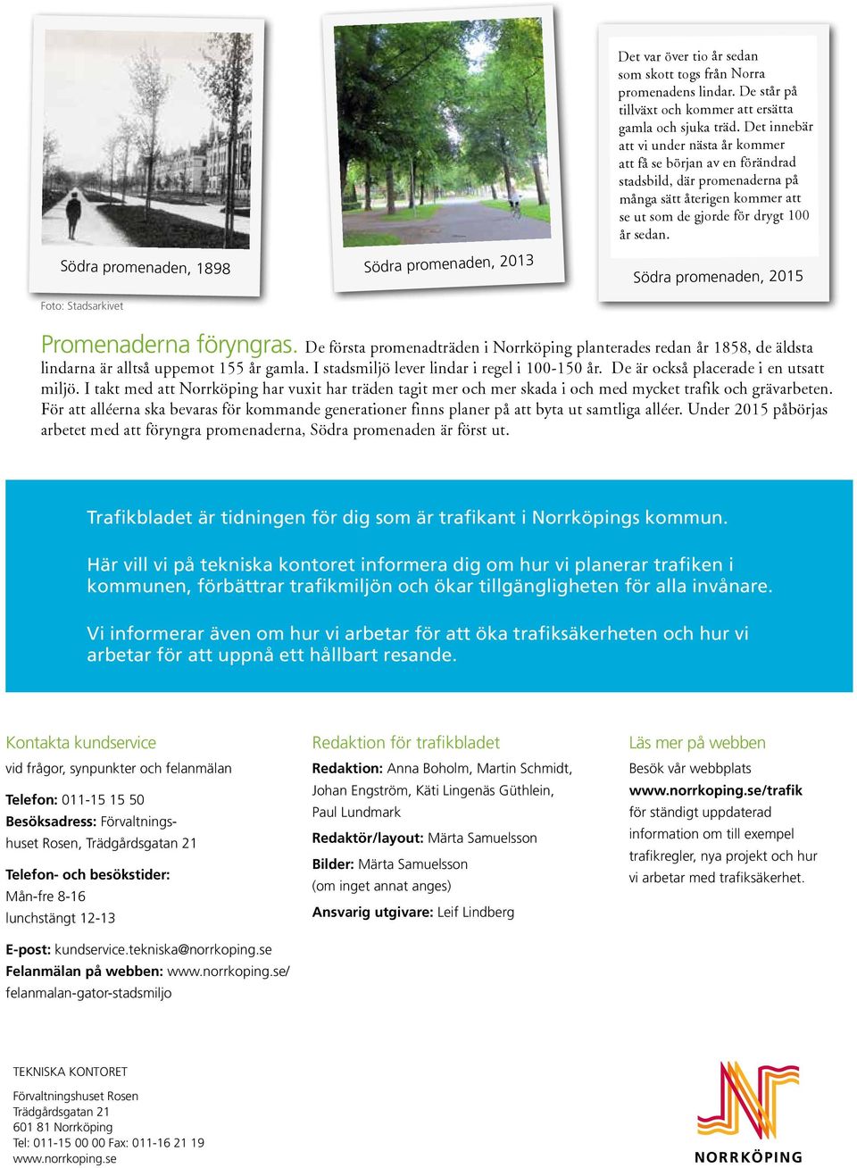 Södra promenaden, 2015 Foto: Stadsarkivet Promenaderna föryngras. De första promenadträden i Norrköping planterades redan år 1858, de äldsta lindarna är alltså uppemot 155 år gamla.