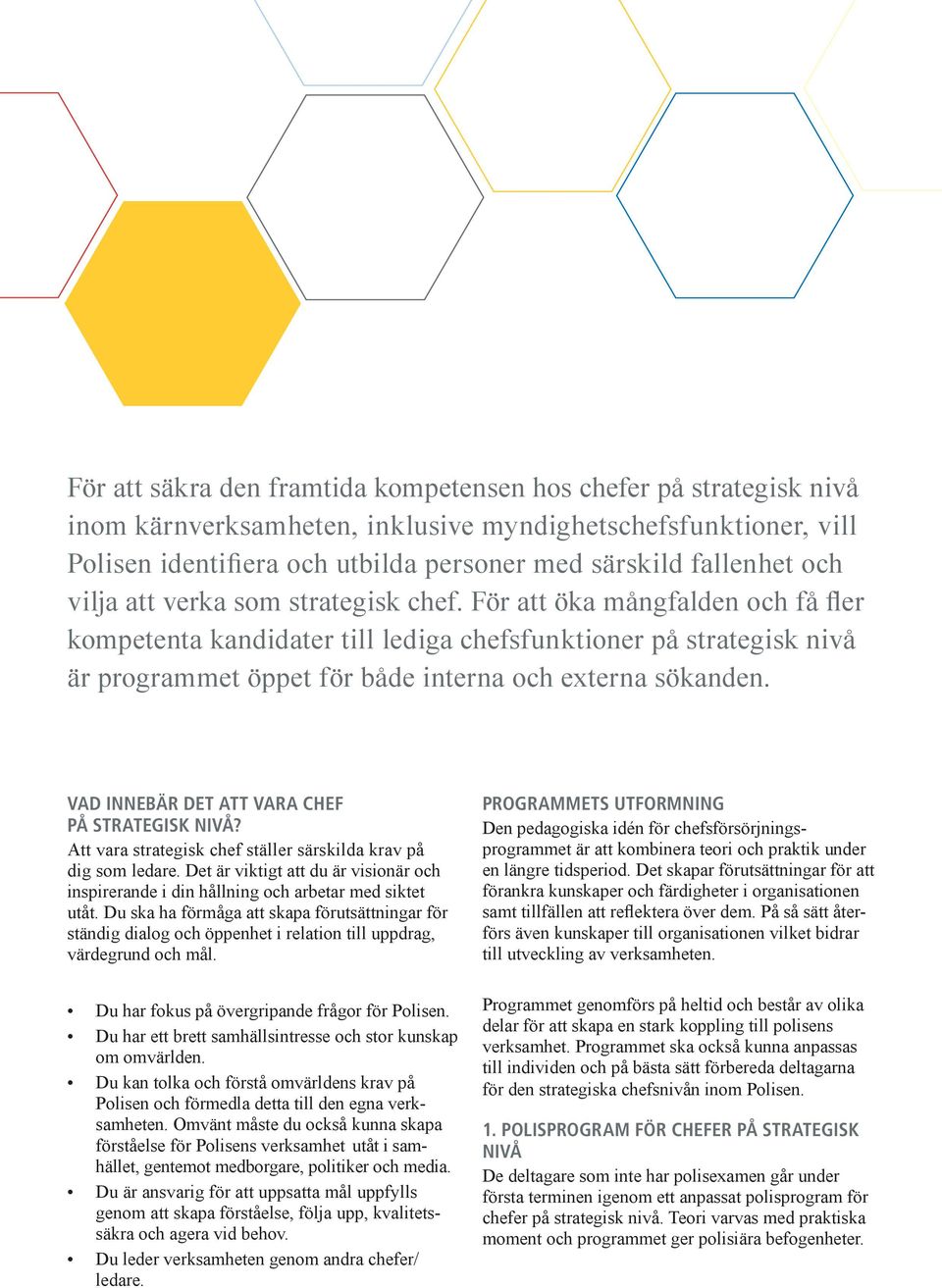 För att öka mångfalden och få fler kompetenta kandidater till lediga chefsfunktioner på strategisk nivå är programmet öppet för både interna och externa sökanden.