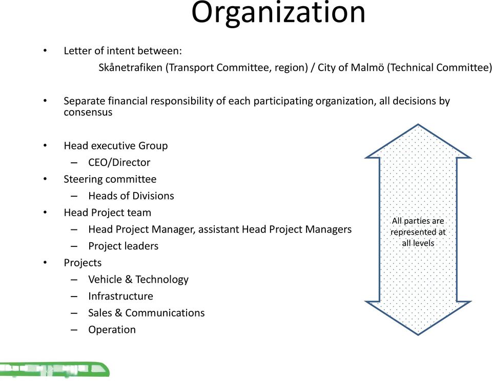 CEO/Director Steering committee Heads of Divisions Head Project team Head Project Manager, assistant Head Project Managers